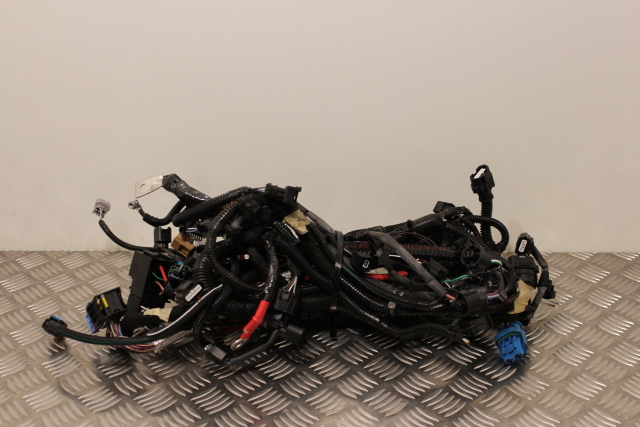 Renault Clio Engine Wiring Loom Individual Block Connections Available